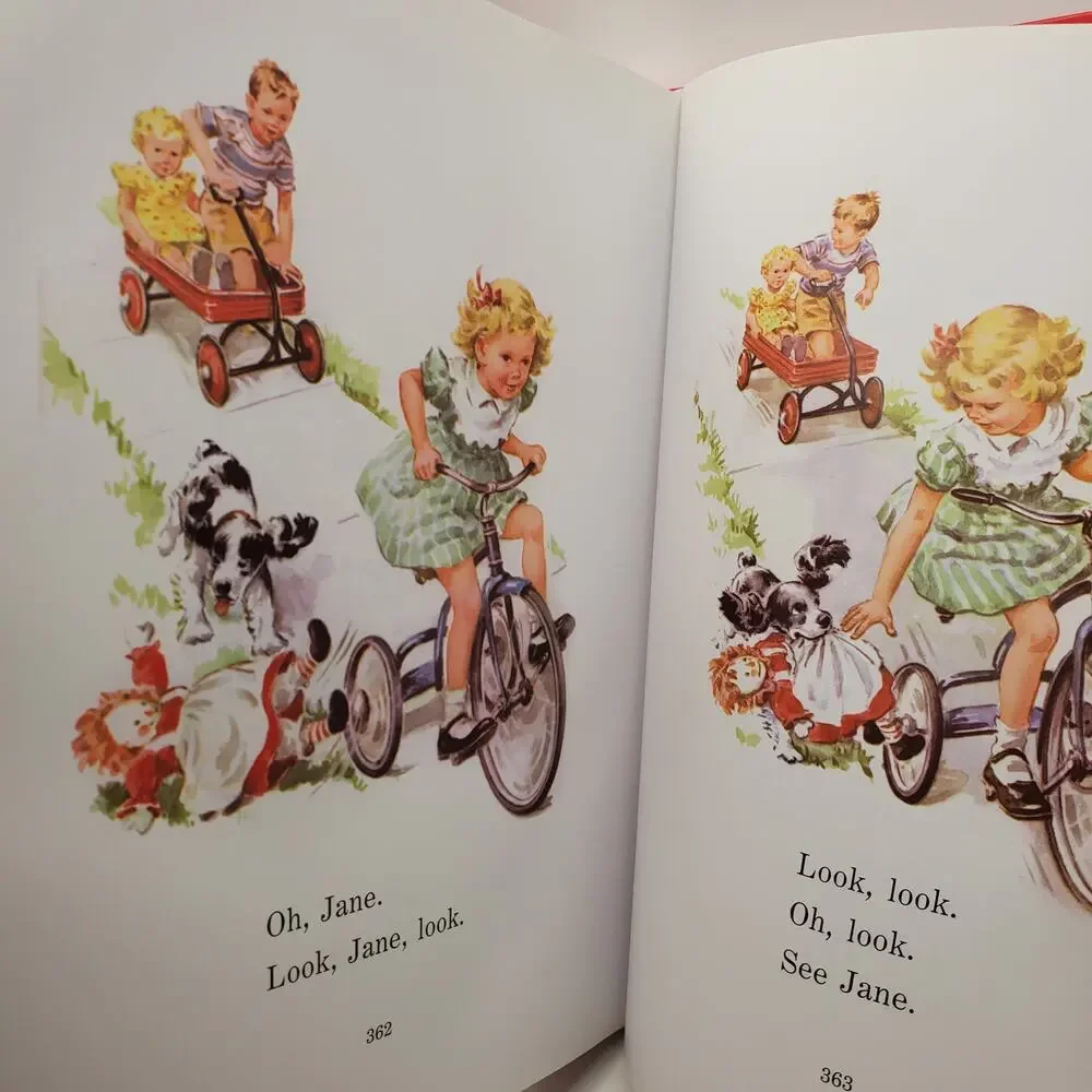 The Ultimate Dick and Jane Storybook Collection Children's Classic